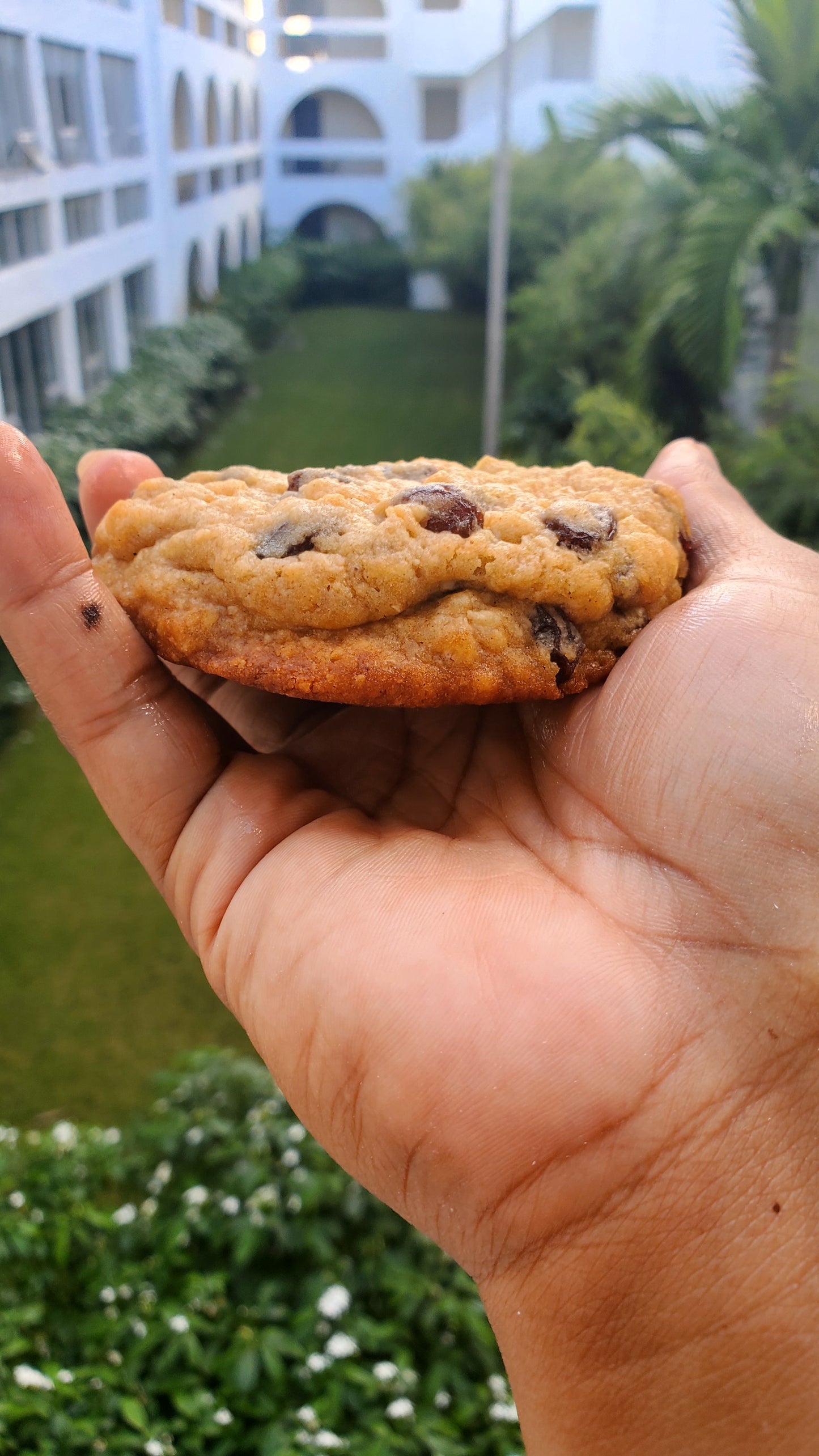 Rum & Raisin Oatmeal Cookie