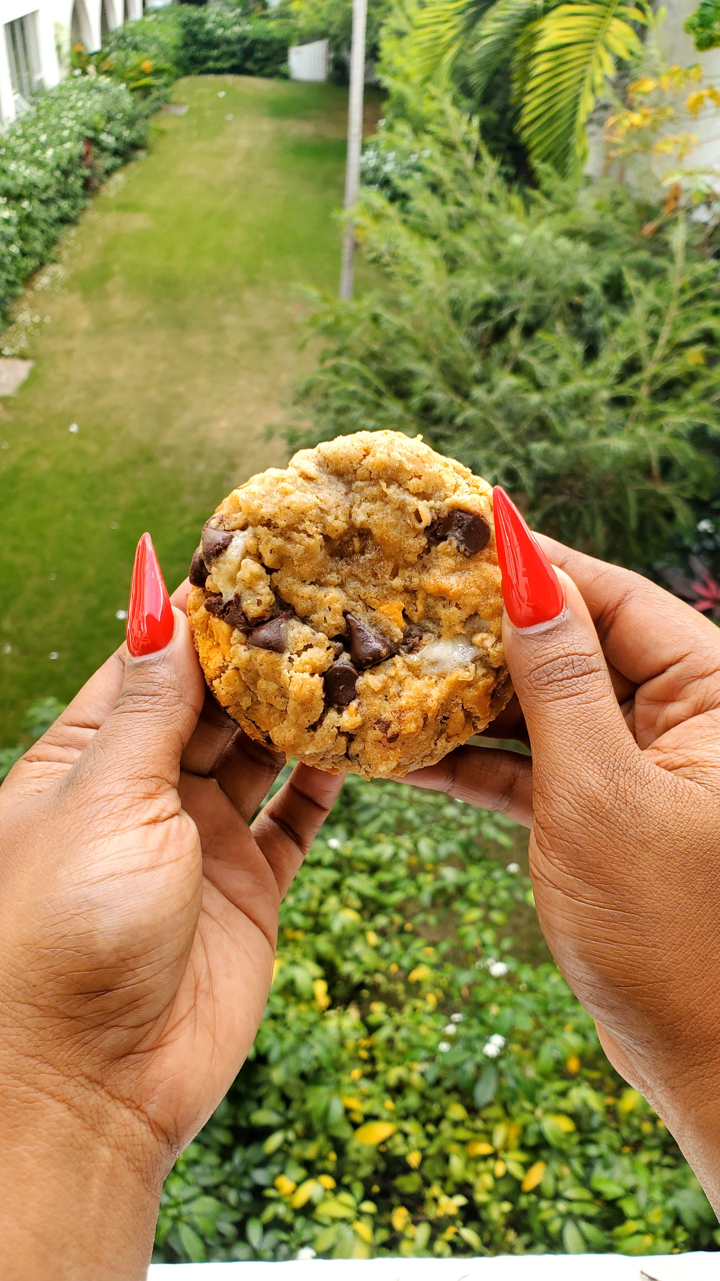 Magic Cookie