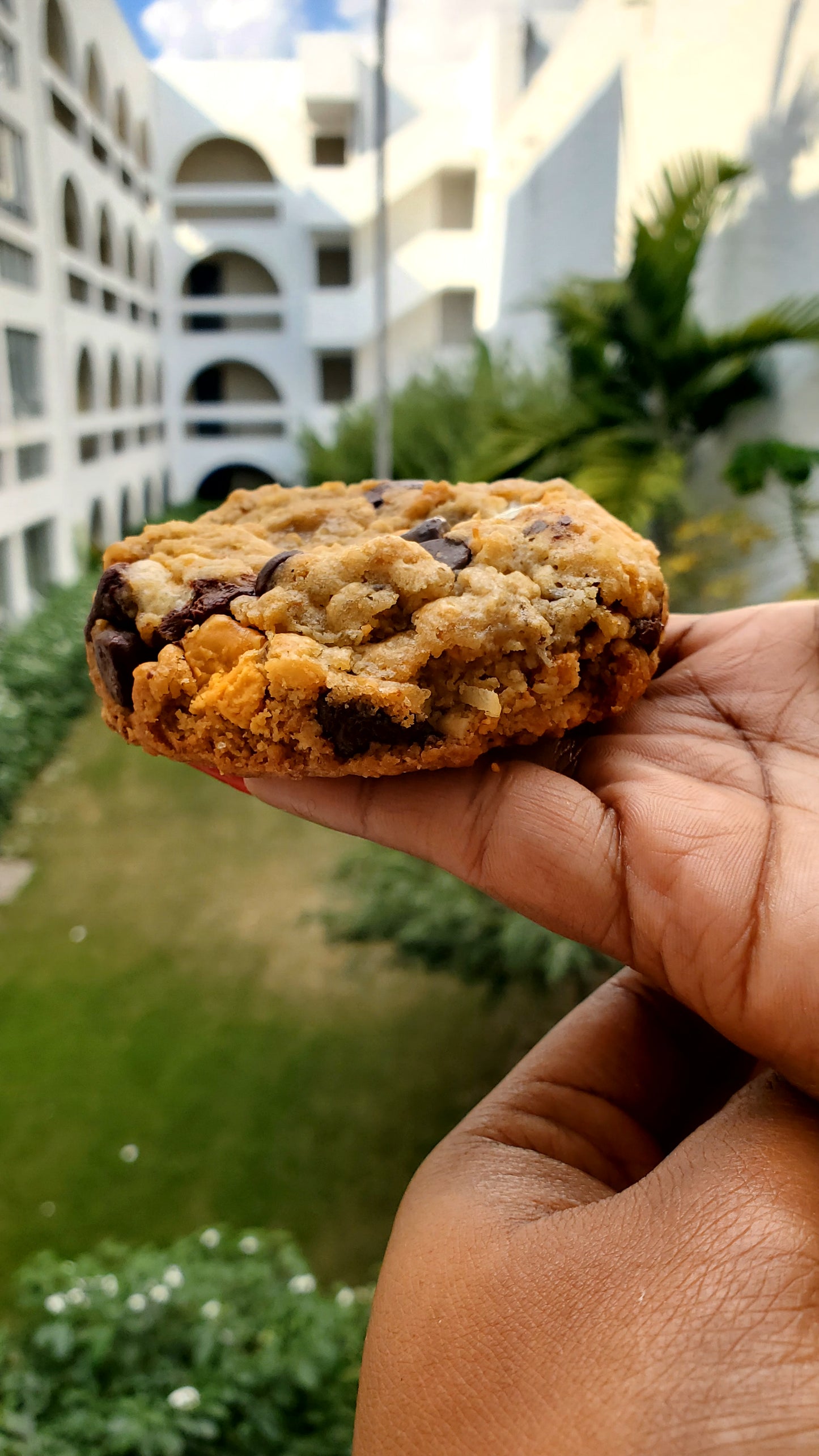 Magic Cookie