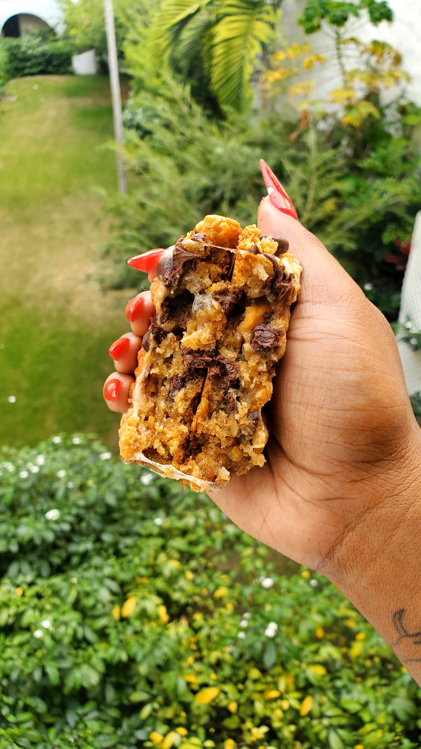 Magic Cookie