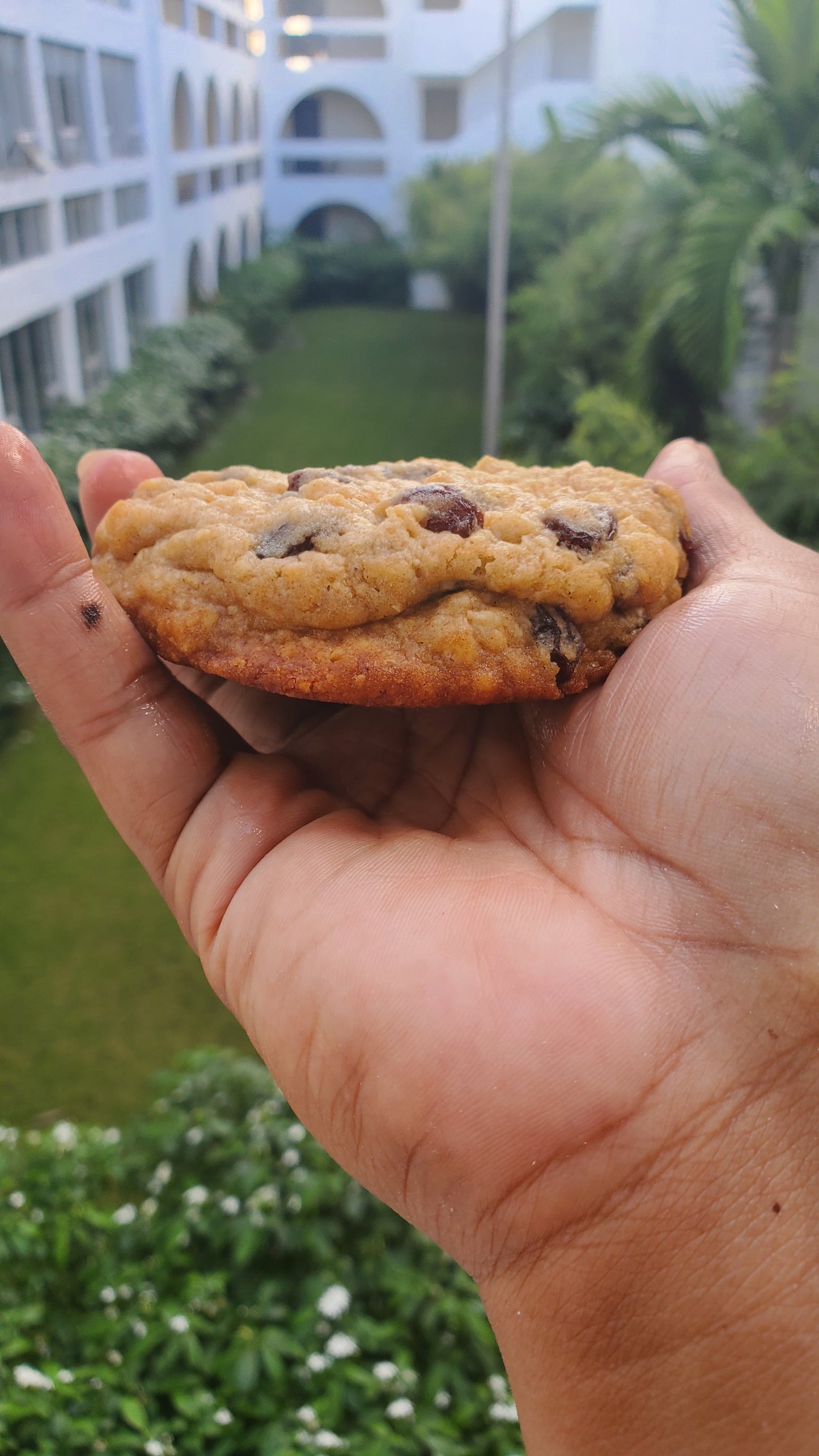 Rum & Raisin Oatmeal Cookie