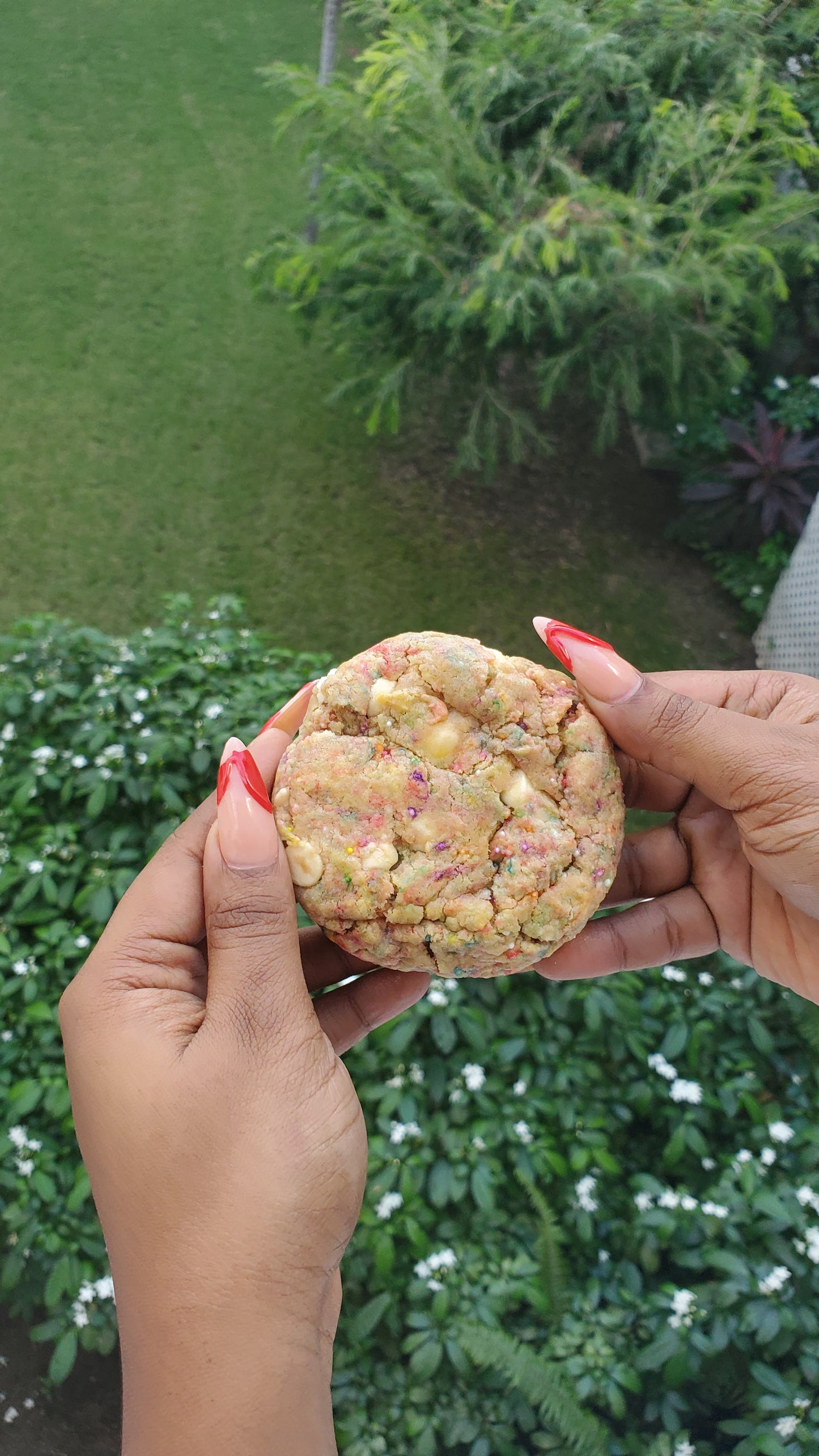 Birthday Cake Cookie