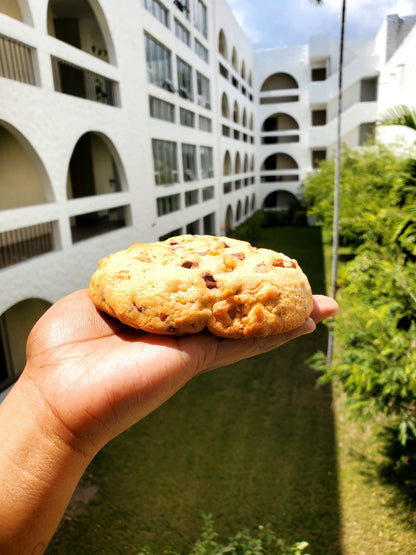 Classic Walnut Chocolate Chip Cookie
